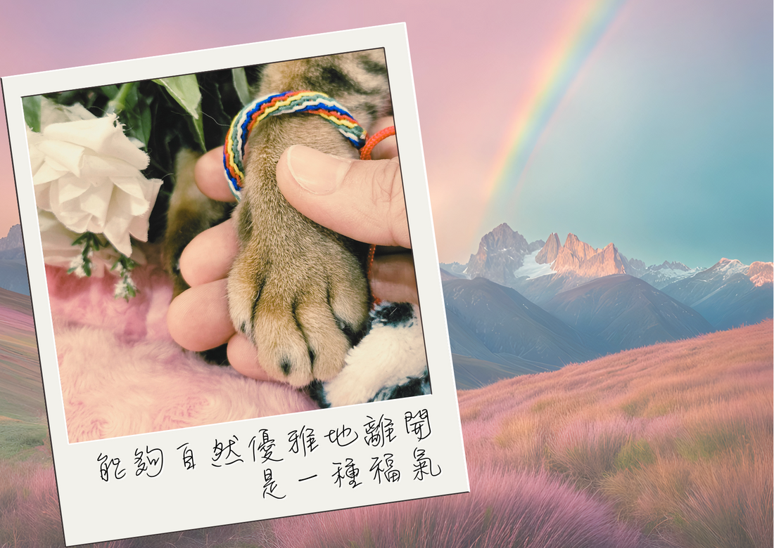 沒有遺憾，所以就能放下