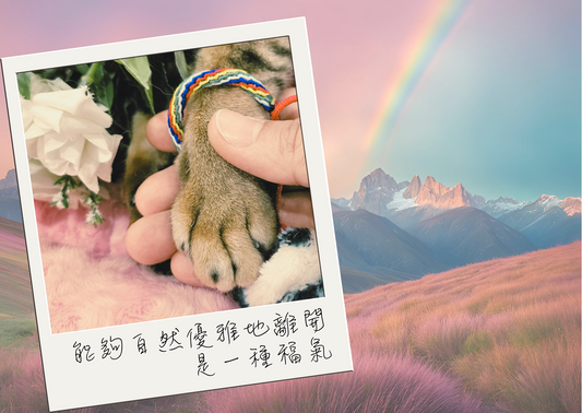 沒有遺憾，所以就能放下
