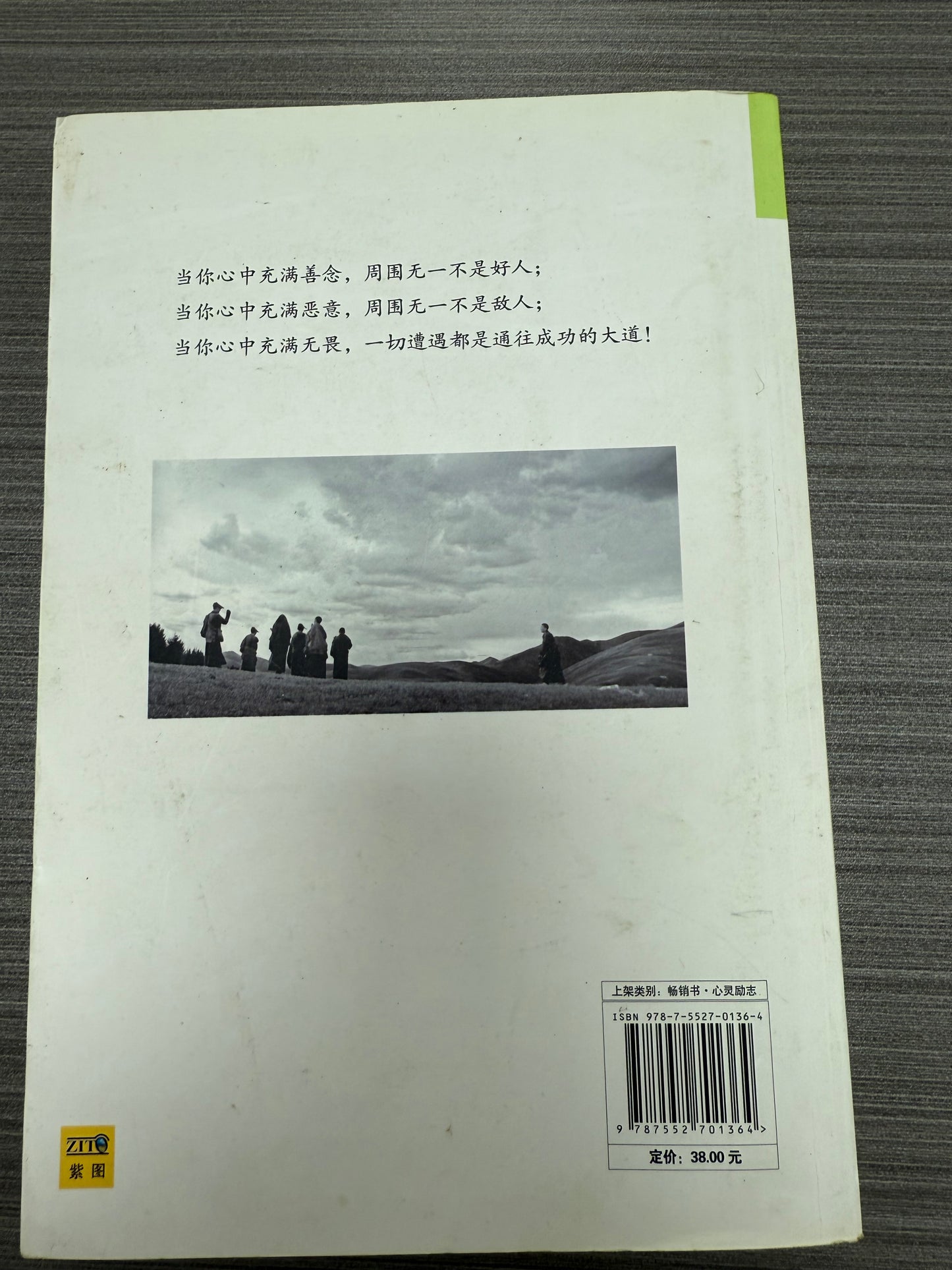 [二手書 - 068] 殘酷才是青春