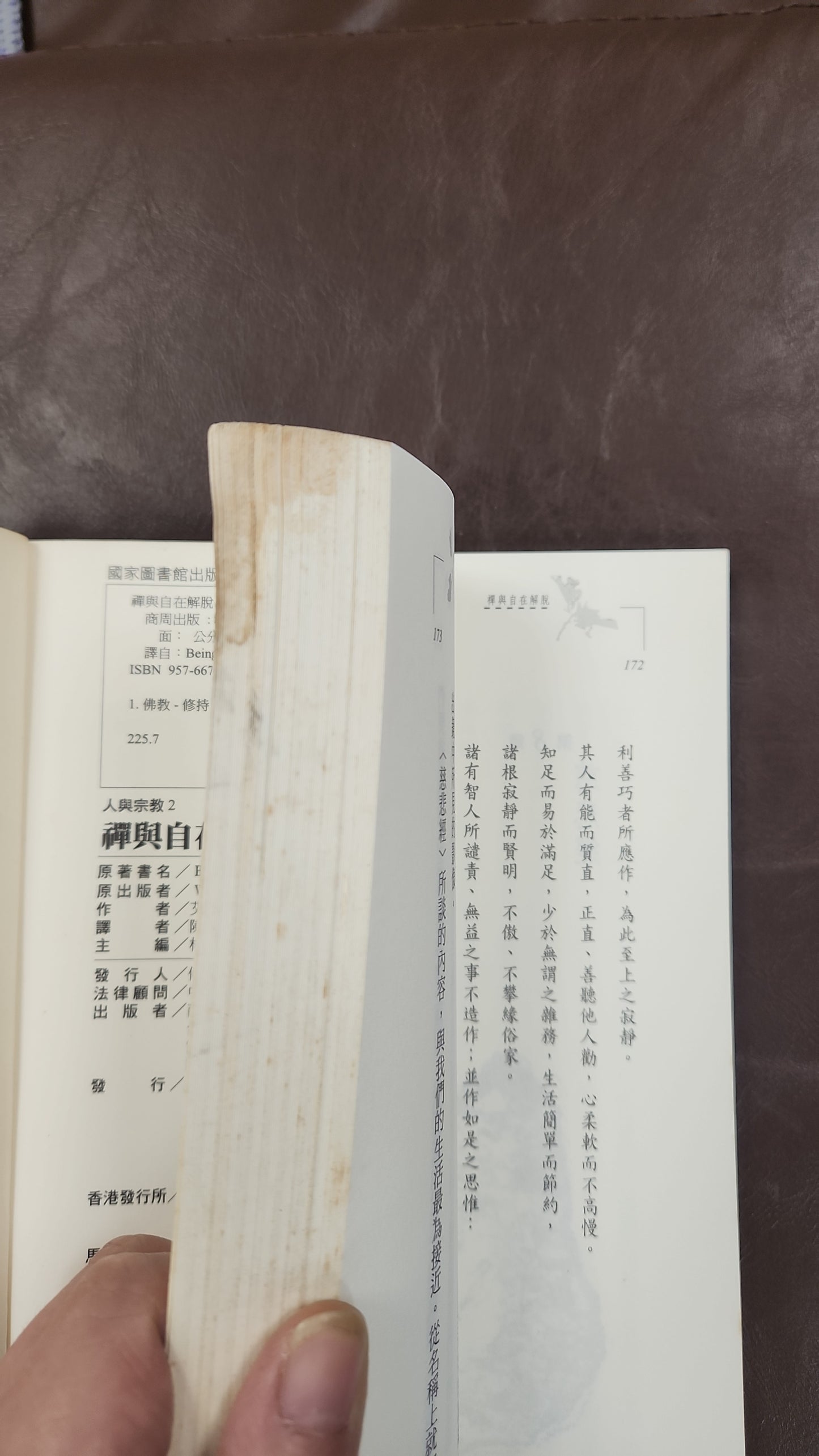 [二手書 - 071] 禪與自在解脫 Being Nobody, Going Nowhere: Meditations on the Buddhist