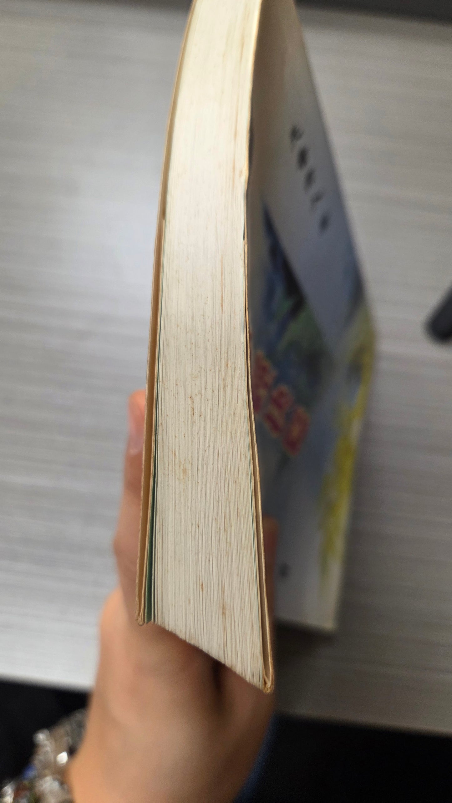 [二手書 - 082] 心經抉隱