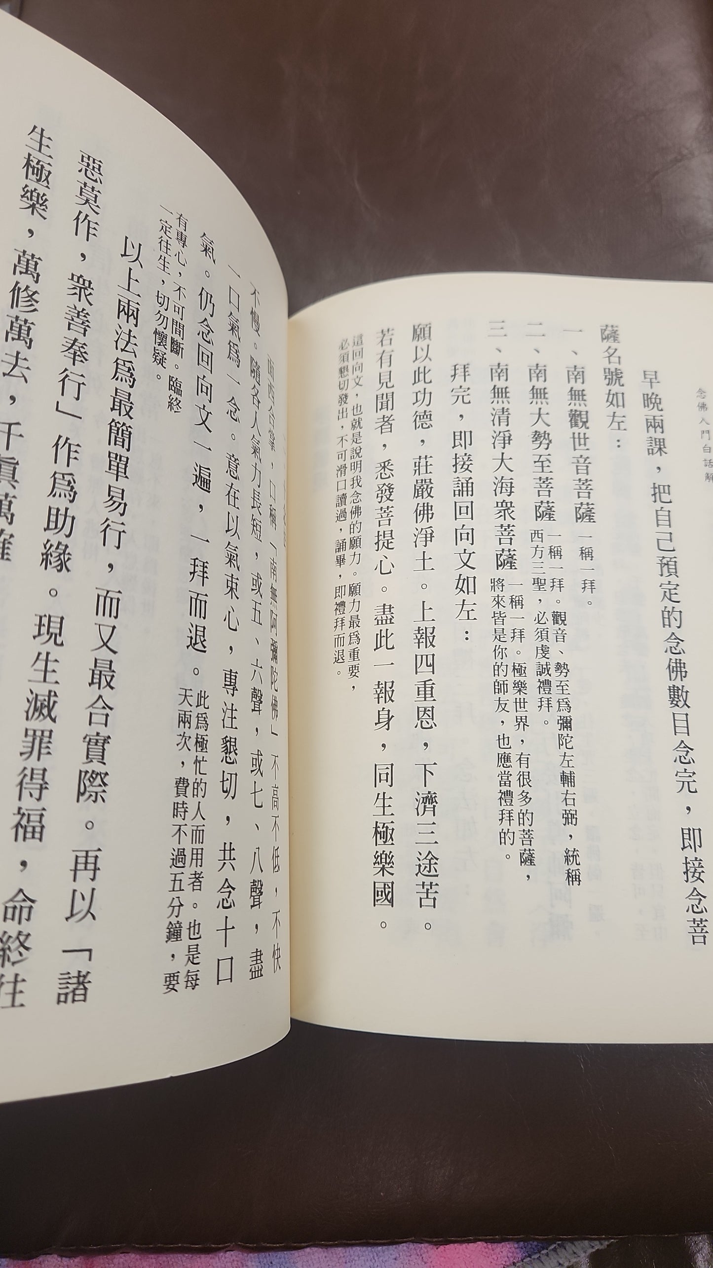 [二手書 - 091] 念佛入門白話解 百日念佛自知錄 合刊