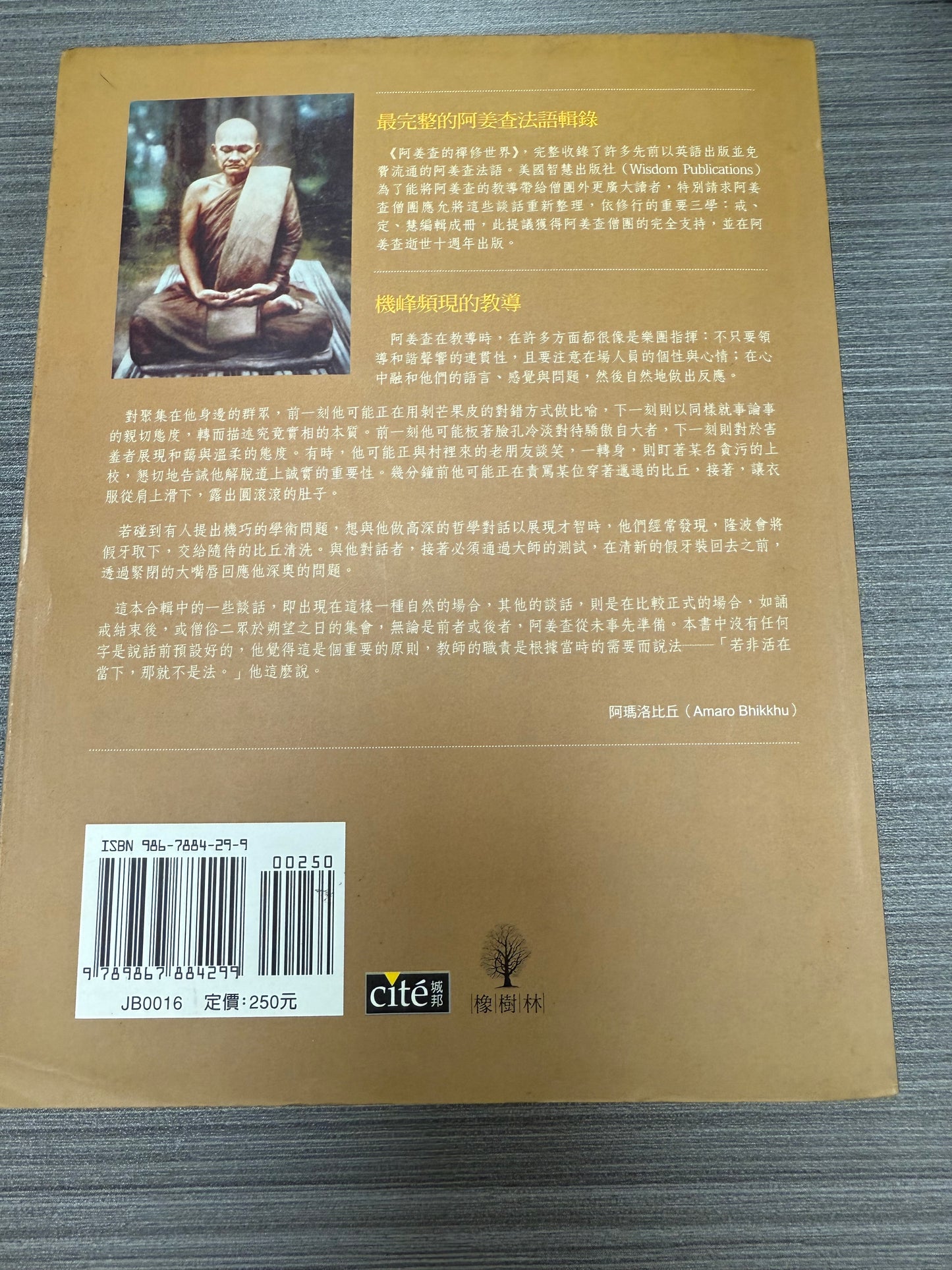 [二手書 - 095] 阿姜查的禪修世界 「第二部」定