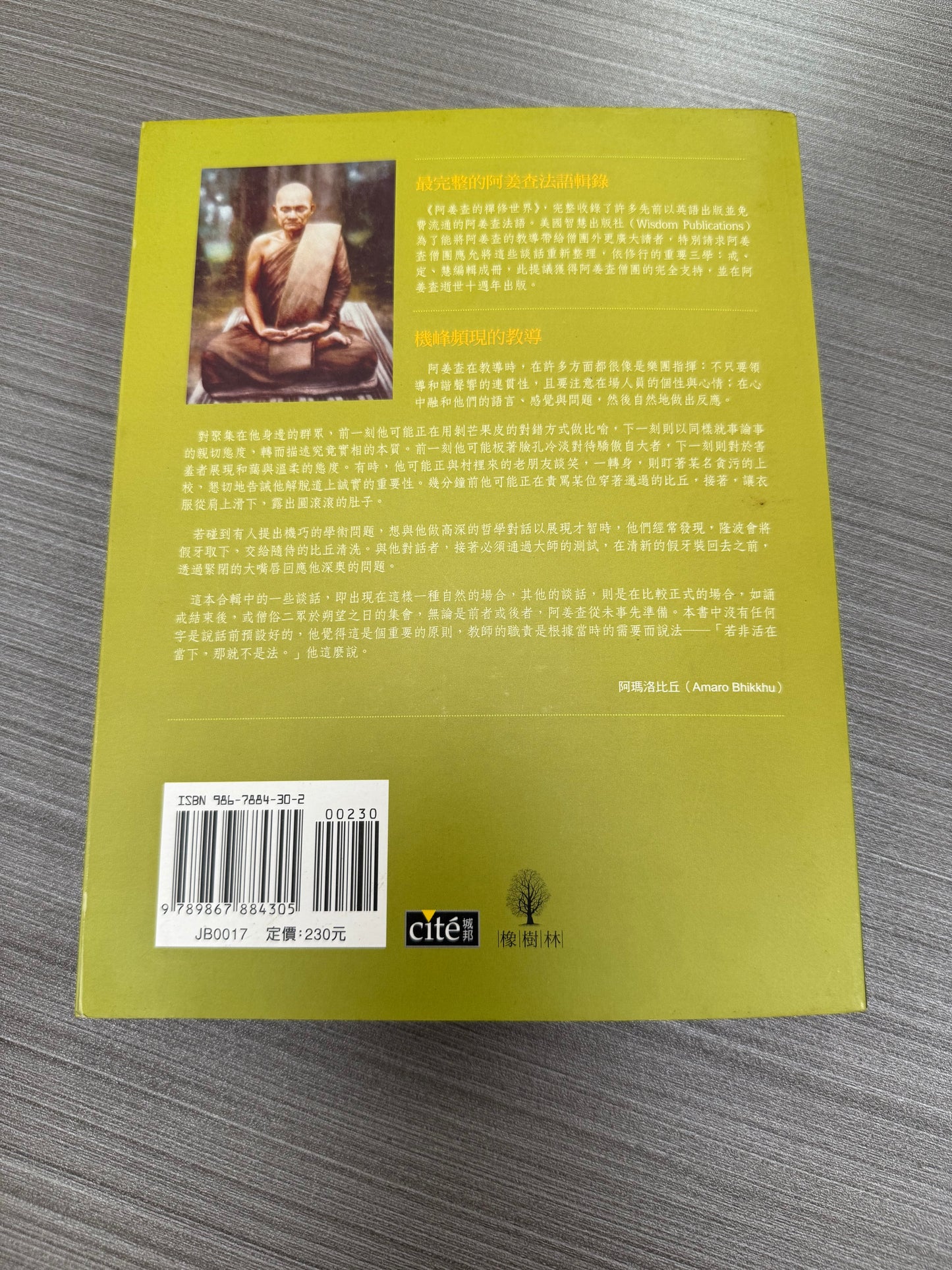 [二手書 - 096] 阿姜查的禪修世界 「第三部」 慧