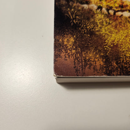 [二手書 - 032] 薩滿之路:  進入意識的時空旅行，迎接全新的身心轉化 The Way of the Shaman
