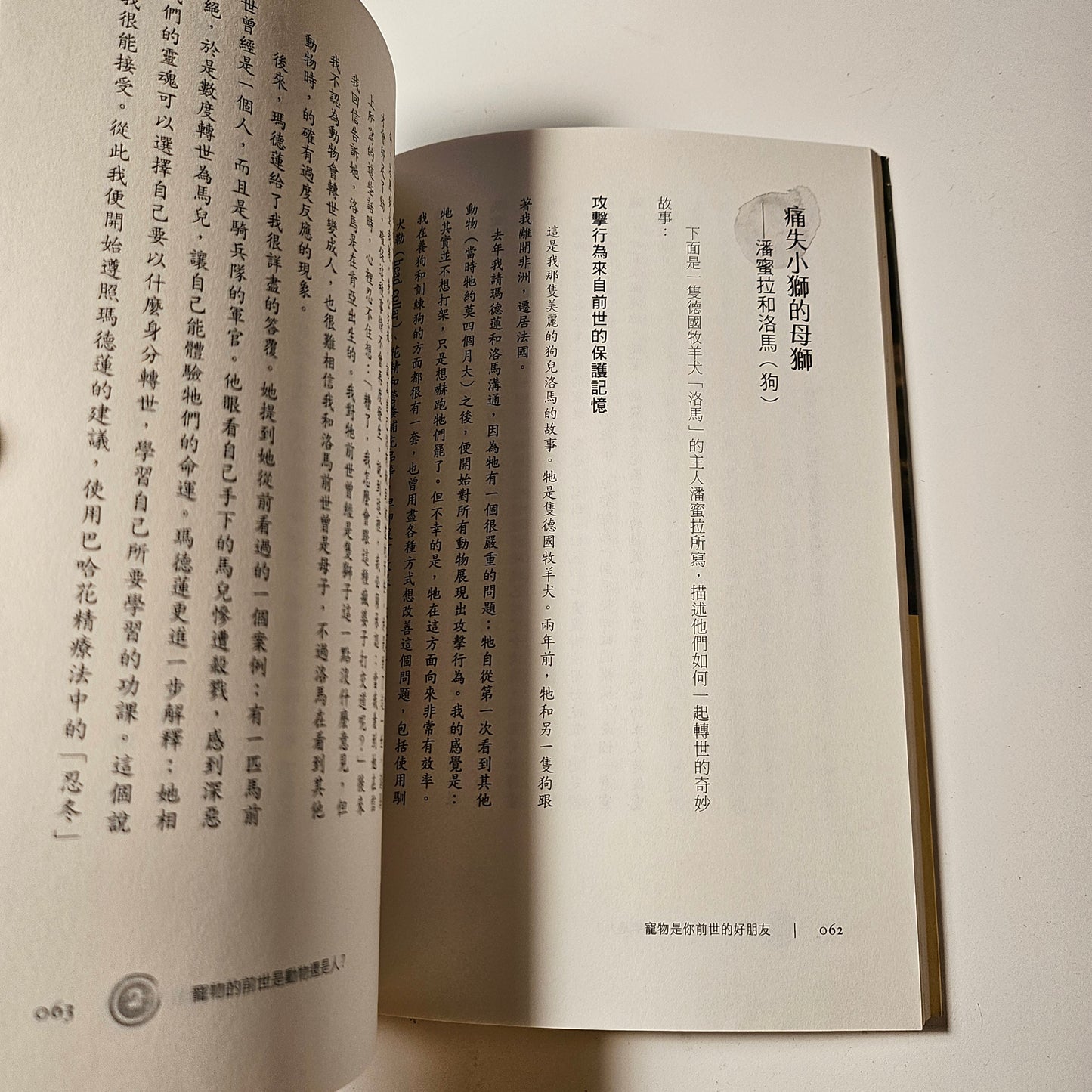 [二手書 - 033] 寵物是你前世的好朋友