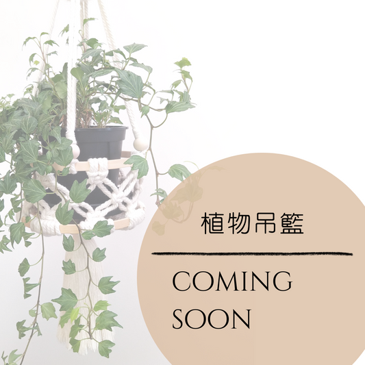 [多款] 植物吊籃
